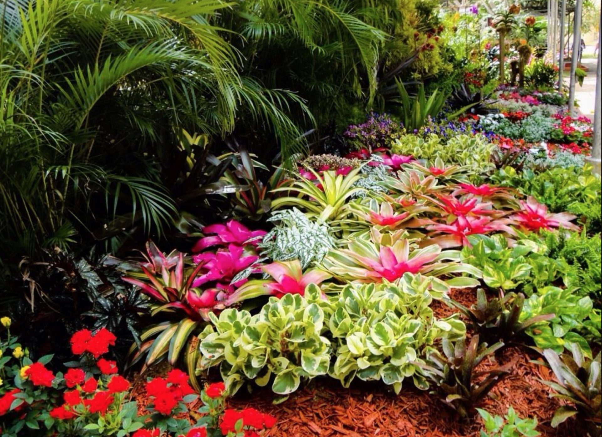 aibonito flower festival in puerto rico