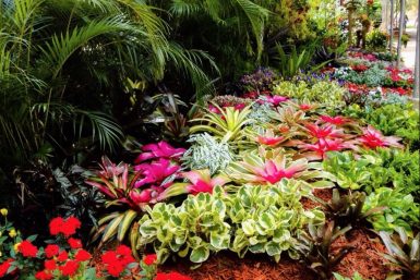 aibonito flower festival in puerto rico